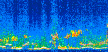/calipso-imagery/data/BROWSE/production/V5-00/2008-11-25/2008-11-25_17-04-32_V5.00_2_thmb.png image missing
