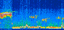 /calipso-imagery/data/BROWSE/production/V5-00/2008-11-25/2008-11-25_23-40-02_V5.00_3_thmb.png image missing