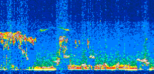 /calipso-imagery/data/BROWSE/production/V5-00/2008-11-27/2008-11-27_00-23-16_V5.00_3_thmb.png image missing