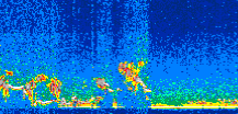 /calipso-imagery/data/BROWSE/production/V5-00/2008-11-27/2008-11-27_08-37-42_V5.00_2_thmb.png image missing