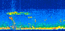 /calipso-imagery/data/BROWSE/production/V5-00/2008-11-27/2008-11-27_08-37-42_V5.00_3_thmb.png image missing