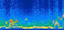 /calipso-imagery/data/BROWSE/production/V5-00/2008-11-27/2008-11-27_10-16-32_V5.00_2_thmb.png image missing