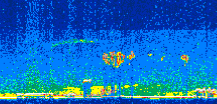 /calipso-imagery/data/BROWSE/production/V5-00/2008-11-27/2008-11-27_13-34-18_V5.00_3_thmb.png image missing