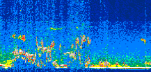 /calipso-imagery/data/BROWSE/production/V5-00/2008-11-27/2008-11-27_18-30-58_V5.00_3_thmb.png image missing
