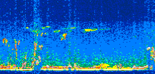 /calipso-imagery/data/BROWSE/production/V5-00/2008-12-02/2008-12-02_00-41-37_V5.00_3_thmb.png image missing