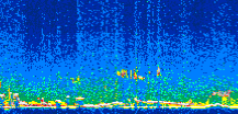 /calipso-imagery/data/BROWSE/production/V5-00/2008-12-02/2008-12-02_10-34-58_V5.00_2_thmb.png image missing