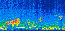 /calipso-imagery/data/BROWSE/production/V5-00/2008-12-02/2008-12-02_13-52-44_V5.00_2_thmb.png image missing