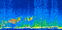 /calipso-imagery/data/BROWSE/production/V5-00/2008-12-02/2008-12-02_18-49-19_V5.00_2_thmb.png image missing
