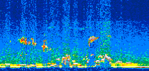 /calipso-imagery/data/BROWSE/production/V5-00/2008-12-02/2008-12-02_18-49-19_V5.00_3_thmb.png image missing