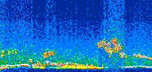 /calipso-imagery/data/BROWSE/production/V5-00/2008-12-03/2008-12-03_04-42-36_V5.00_2_thmb.png image missing