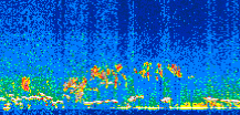 /calipso-imagery/data/BROWSE/production/V5-00/2008-12-03/2008-12-03_14-35-57_V5.00_2_thmb.png image missing