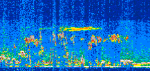 /calipso-imagery/data/BROWSE/production/V5-00/2008-12-03/2008-12-03_17-53-42_V5.00_3_thmb.png image missing