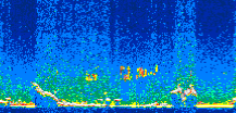/calipso-imagery/data/BROWSE/production/V5-00/2008-12-03/2008-12-03_21-11-28_V5.00_2_thmb.png image missing