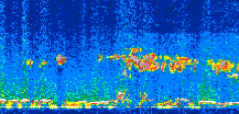 /calipso-imagery/data/BROWSE/production/V5-00/2008-12-03/2008-12-03_21-11-28_V5.00_3_thmb.png image missing