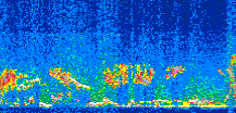 /calipso-imagery/data/BROWSE/production/V5-00/2008-12-11/2008-12-11_02-14-11_V5.00_2_thmb.png image missing