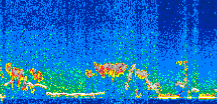 /calipso-imagery/data/BROWSE/production/V5-00/2008-12-11/2008-12-11_08-49-42_V5.00_2_thmb.png image missing