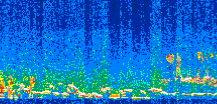 /calipso-imagery/data/BROWSE/production/V5-00/2008-12-11/2008-12-11_12-07-28_V5.00_2_thmb.png image missing