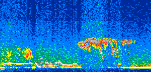 /calipso-imagery/data/BROWSE/production/V5-00/2008-12-11/2008-12-11_15-25-18_V5.00_2_thmb.png image missing