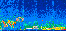/calipso-imagery/data/BROWSE/production/V5-00/2008-12-11/2008-12-11_18-43-03_V5.00_2_thmb.png image missing