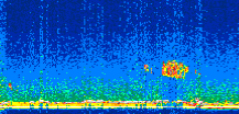/calipso-imagery/data/BROWSE/production/V5-00/2008-12-12/2008-12-12_02-57-25_V5.00_2_thmb.png image missing