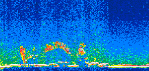 /calipso-imagery/data/BROWSE/production/V5-00/2008-12-12/2008-12-12_06-15-15_V5.00_2_thmb.png image missing