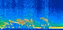 /calipso-imagery/data/BROWSE/production/V5-00/2008-12-12/2008-12-12_07-54-05_V5.00_2_thmb.png image missing