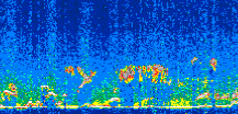 /calipso-imagery/data/BROWSE/production/V5-00/2008-12-12/2008-12-12_17-47-22_V5.00_2_thmb.png image missing