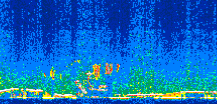 /calipso-imagery/data/BROWSE/production/V5-00/2008-12-12/2008-12-12_19-26-17_V5.00_2_thmb.png image missing