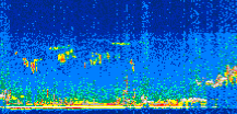 /calipso-imagery/data/BROWSE/production/V5-00/2008-12-13/2008-12-13_02-01-48_V5.00_3_thmb.png image missing