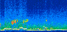 /calipso-imagery/data/BROWSE/production/V5-00/2008-12-13/2008-12-13_05-19-33_V5.00_2_thmb.png image missing