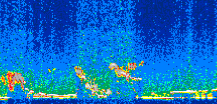 /calipso-imagery/data/BROWSE/production/V5-00/2008-12-13/2008-12-13_06-58-28_V5.00_2_thmb.png image missing