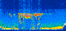 /calipso-imagery/data/BROWSE/production/V5-00/2008-12-13/2008-12-13_06-58-28_V5.00_3_thmb.png image missing