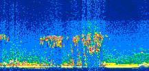 /calipso-imagery/data/BROWSE/production/V5-00/2008-12-13/2008-12-13_08-37-19_V5.00_3_thmb.png image missing