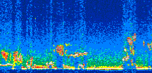 /calipso-imagery/data/BROWSE/production/V5-00/2008-12-13/2008-12-13_10-16-14_V5.00_2_thmb.png image missing