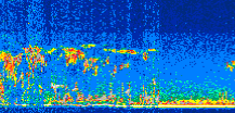 /calipso-imagery/data/BROWSE/production/V5-00/2008-12-13/2008-12-13_16-51-45_V5.00_3_thmb.png image missing