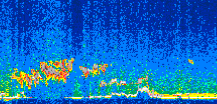 /calipso-imagery/data/BROWSE/production/V5-00/2008-12-13/2008-12-13_18-30-40_V5.00_2_thmb.png image missing