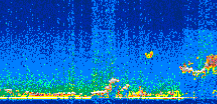 /calipso-imagery/data/BROWSE/production/V5-00/2008-12-13/2008-12-13_20-09-35_V5.00_3_thmb.png image missing