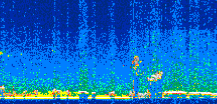 /calipso-imagery/data/BROWSE/production/V5-00/2008-12-13/2008-12-13_21-48-25_V5.00_3_thmb.png image missing