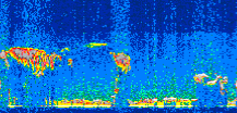 /calipso-imagery/data/BROWSE/production/V5-00/2008-12-14/2008-12-14_01-06-11_V5.00_3_thmb.png image missing
