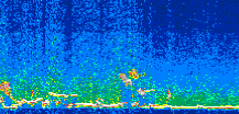 /calipso-imagery/data/BROWSE/production/V5-00/2008-12-14/2008-12-14_06-02-51_V5.00_2_thmb.png image missing