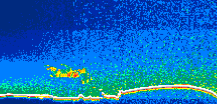 /calipso-imagery/data/BROWSE/production/V5-00/2008-12-14/2008-12-14_09-20-37_V5.00_1_thmb.png image missing