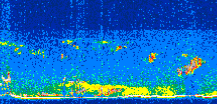/calipso-imagery/data/BROWSE/production/V5-00/2008-12-14/2008-12-14_12-38-22_V5.00_3_thmb.png image missing