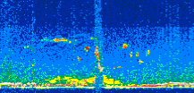 /calipso-imagery/data/BROWSE/production/V5-00/2008-12-14/2008-12-14_14-17-17_V5.00_3_thmb.png image missing