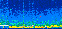 /calipso-imagery/data/BROWSE/production/V5-00/2008-12-14/2008-12-14_19-13-53_V5.00_3_thmb.png image missing