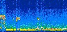/calipso-imagery/data/BROWSE/production/V5-00/2008-12-14/2008-12-14_22-31-39_V5.00_3_thmb.png image missing