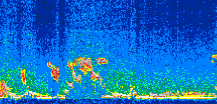 /calipso-imagery/data/BROWSE/production/V5-00/2008-12-16/2008-12-16_00-53-47_V5.00_2_thmb.png image missing