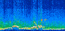 /calipso-imagery/data/BROWSE/production/V5-00/2008-12-16/2008-12-16_04-11-38_V5.00_2_thmb.png image missing