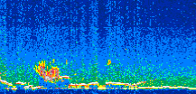 /calipso-imagery/data/BROWSE/production/V5-00/2008-12-16/2008-12-16_05-50-28_V5.00_2_thmb.png image missing