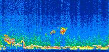 /calipso-imagery/data/BROWSE/production/V5-00/2008-12-16/2008-12-16_07-29-23_V5.00_2_thmb.png image missing