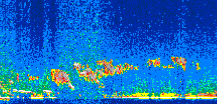 /calipso-imagery/data/BROWSE/production/V5-00/2008-12-16/2008-12-16_09-08-13_V5.00_2_thmb.png image missing